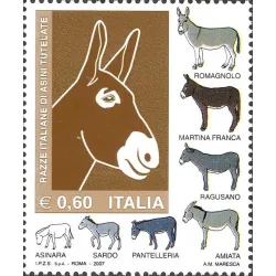 Protected Italian breeds of donkeys