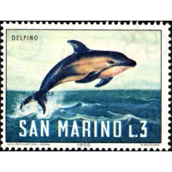 Marine fauna