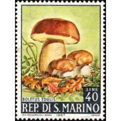 Champignons