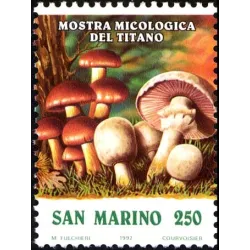 Mostra micologica del titano