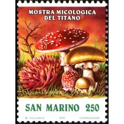 Mostra micologica del titano