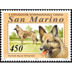 Exposición internacional canina