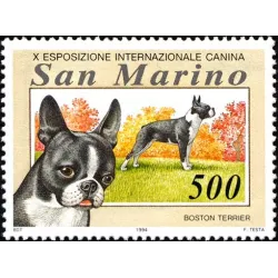 Exposición internacional canina