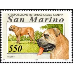 Exposición internacional canina