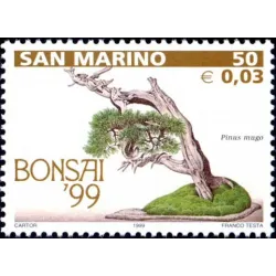 Bonsai Ausstellung in San marino