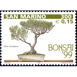 Bonsai exposición en san marino