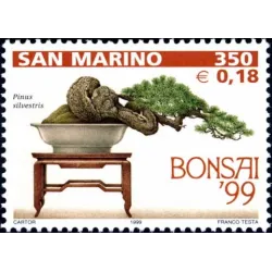 Bonsai Ausstellung in San marino