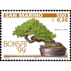 Bonsai exposición en san marino