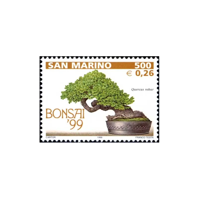 Exposition de bonsai à san marino