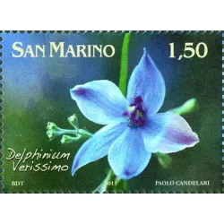 Fiori dedicati a San Marino