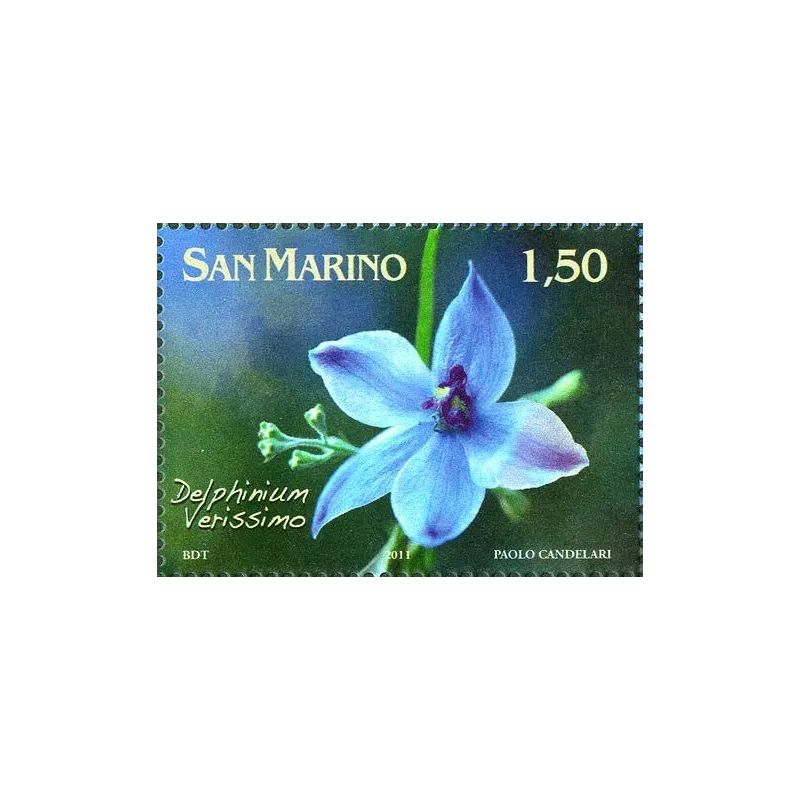 Fiori dedicati a San Marino