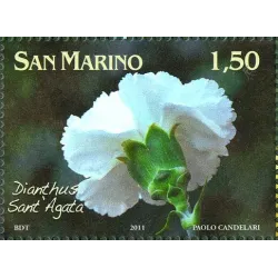 Fiori dedicati a San Marino