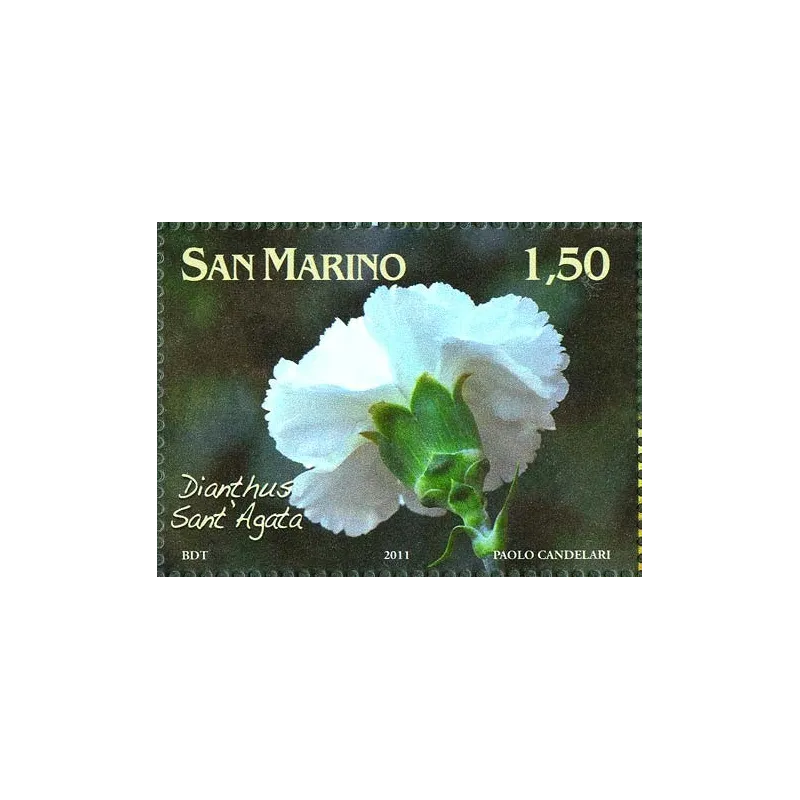 Fiori dedicati a San Marino