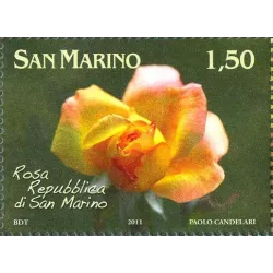 Flowers dedicated to san marino