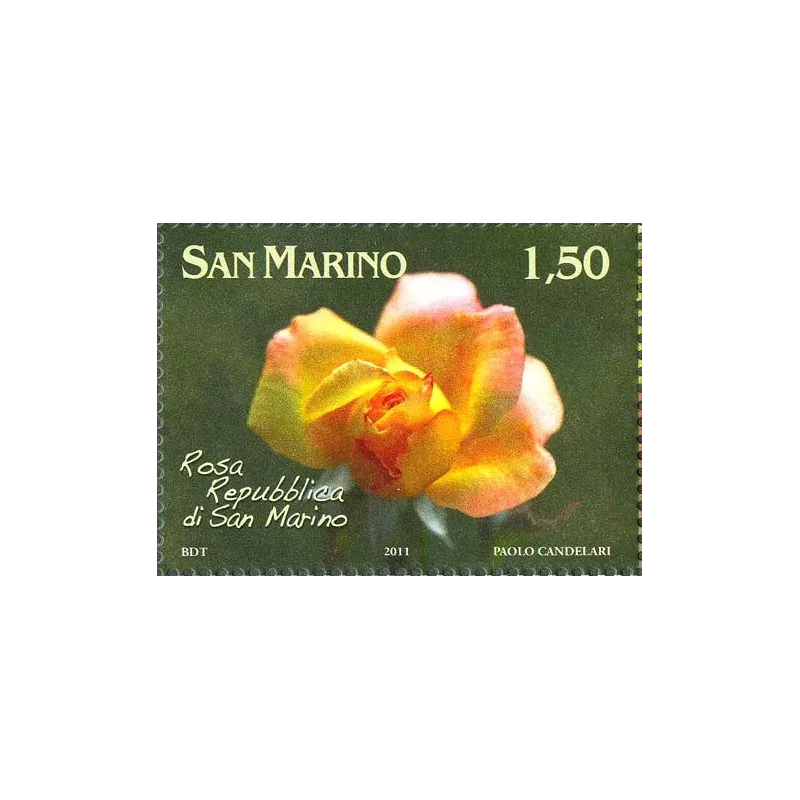 Flowers dedicated to san marino