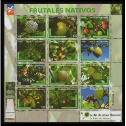 árboles frutales nativos