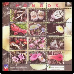 Mushrooms of the Dominican flora