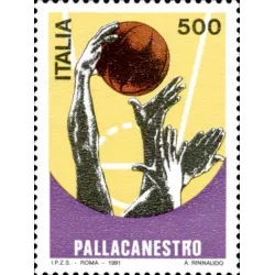 Pallacanestro