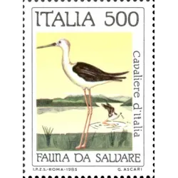 Flora e fauna da salvare